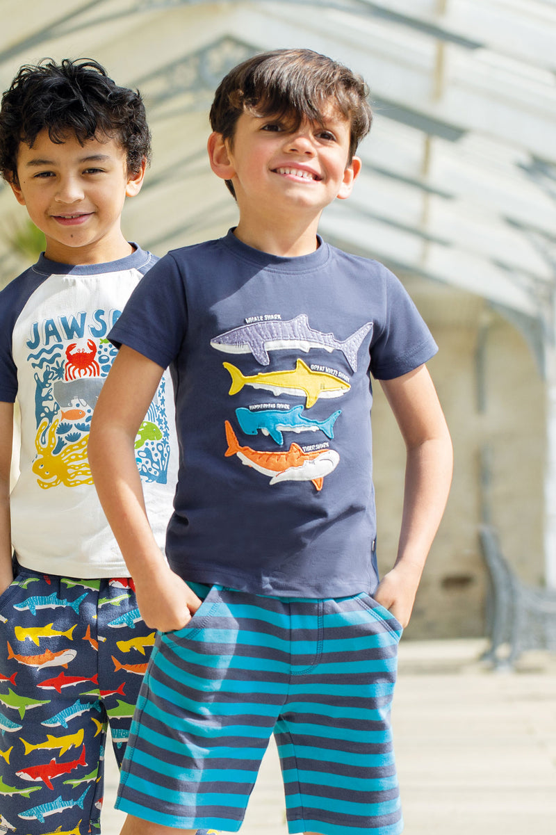Children's Organic Frugi T-shirt: Avery Applique T-shirt Navy - Kid's Clothing