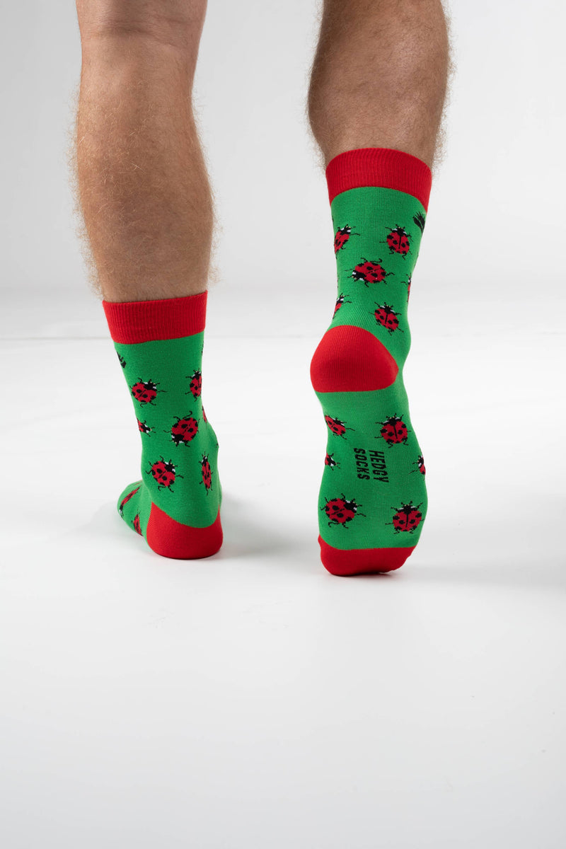 BAMBOO SOCKS | LADYBIRD SOCKS | WILDLIFE SOCKS: UK 3-7 (EU 36-40)