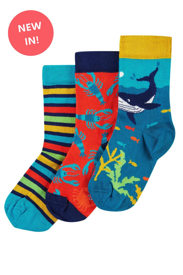 Frugi Organic Socks -	 Rock My Socks 3 Pack, Deep Water, Multipack
