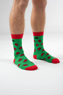 BAMBOO SOCKS | LADYBIRD SOCKS | WILDLIFE SOCKS: UK 3-7 (EU 36-40)