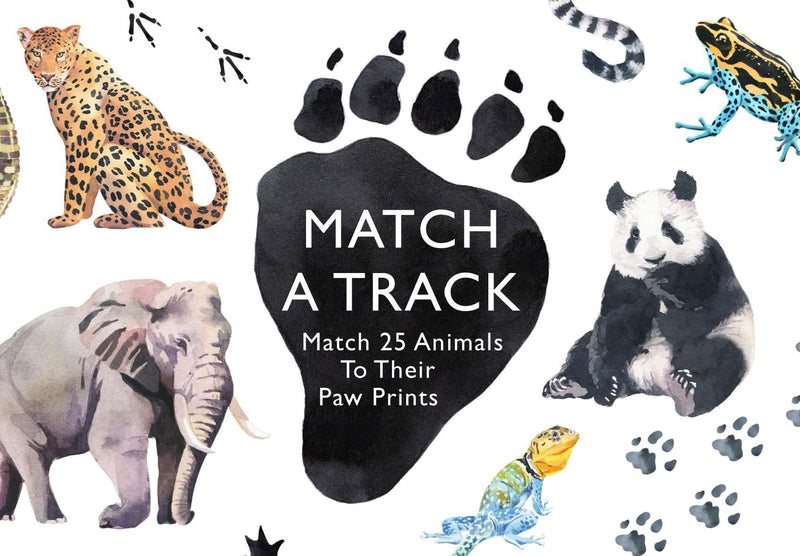 MATCH A TRACK MEMORY GAME