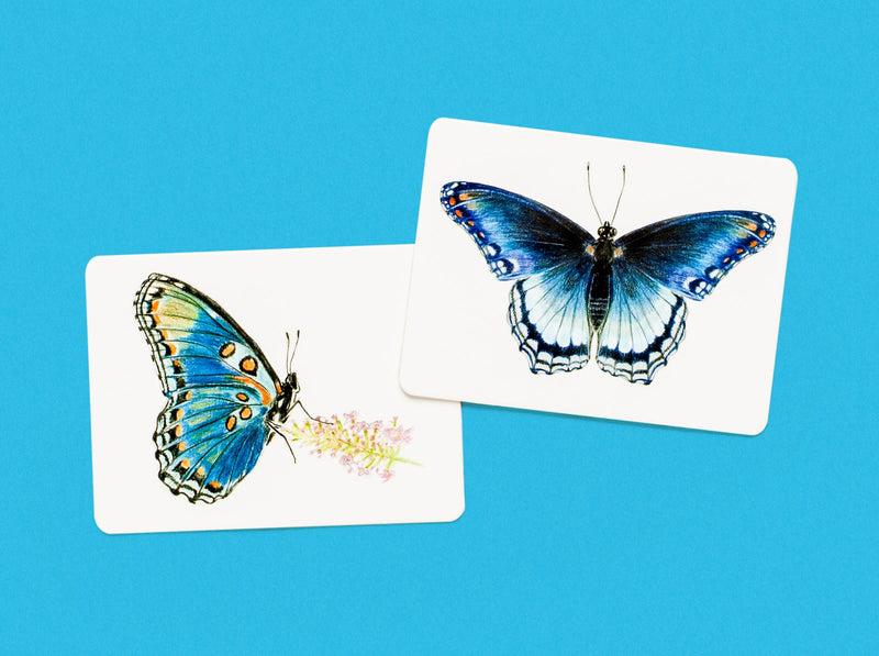 BUTTERFLY WINGS MATCHING GAME