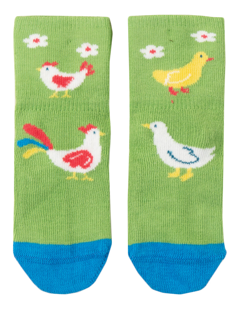 Perfect Little Pair Socks, Kiwi Chicken